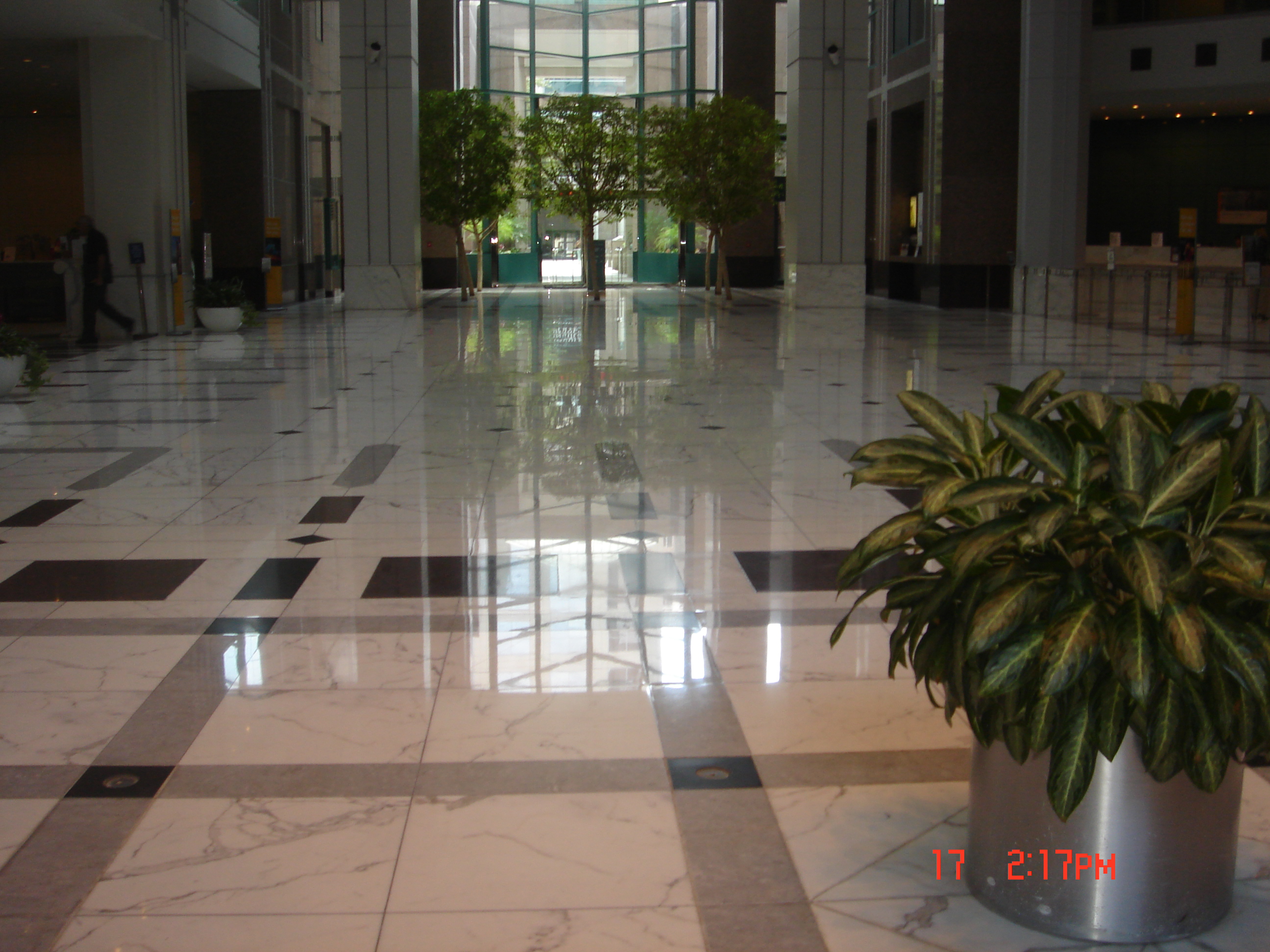 DSC06639 floor cleaning service